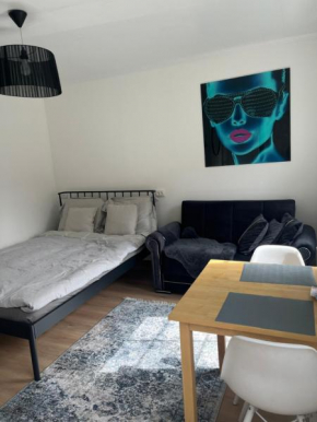 Ally's Urban Cozy Studio Juhkentali 42 near city Tallinn